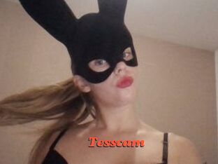 Tesscam