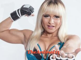 TheAnimal13