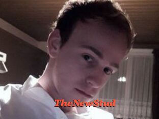 TheNewStud