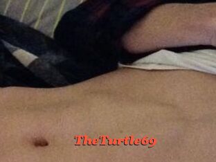 TheTurtle69