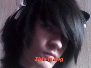 This_is_dog