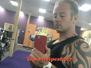 Tigerstripes6767