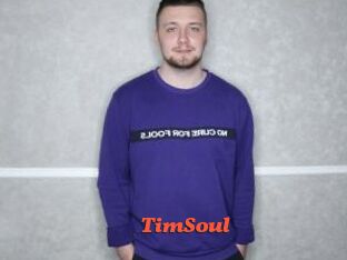TimSoul