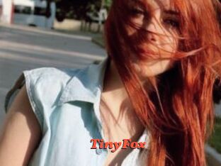 TinyFox