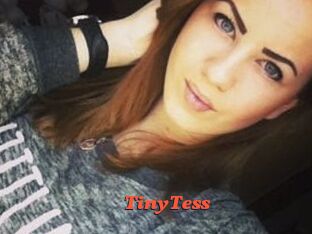 TinyTess