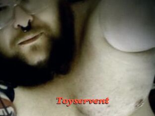 Toyservent Livespot