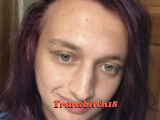 Transbitch18