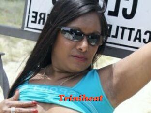 Triniheat
