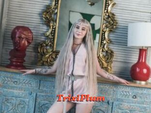 TrixiPlum