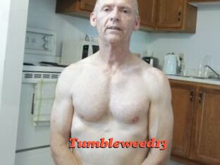 Tumbleweed13 Livespot