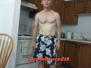 Tumbleweed18