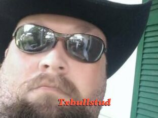 Txbullstud