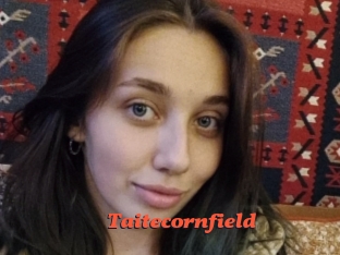 Taitecornfield