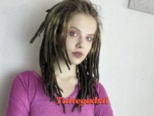 Taitegodsil