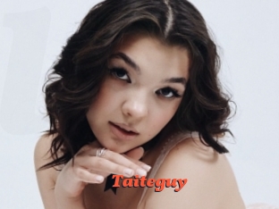 Taiteguy