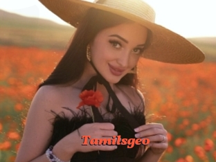 Tamilsgeo