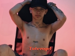 Tatevogel
