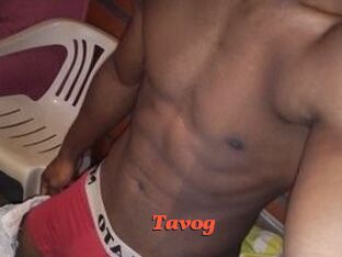 Tavog
