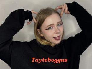 Tayteboggus