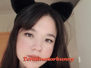 Terminatorbunny