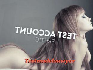 Testmodelsawyer