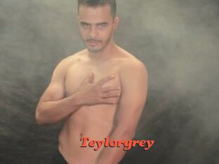 Teylorgrey