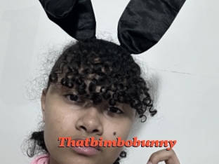Thatbimbobunny