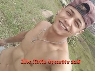 The_little_bruette_228