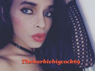 Thebarbiebigcock69