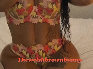 Thewelshbrownbunny