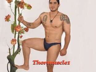 thormuscle1 Livespot