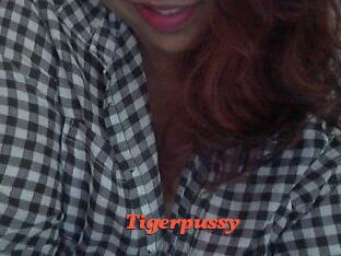 tigerpussy Livespot