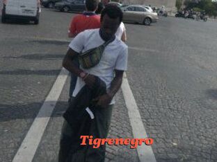 Tigrenegro