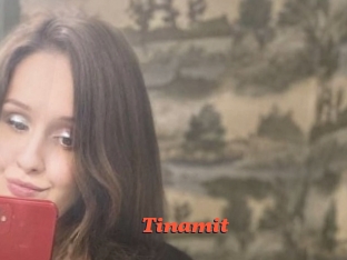 Tinamit