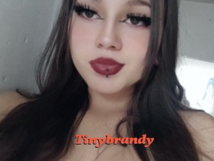 Tinybrandy