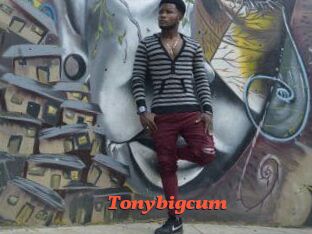 Tonybigcum