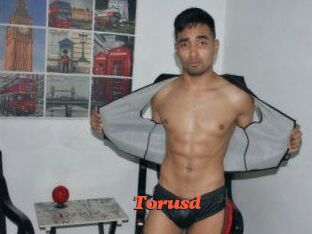 Torusd