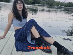 transbate Livespot