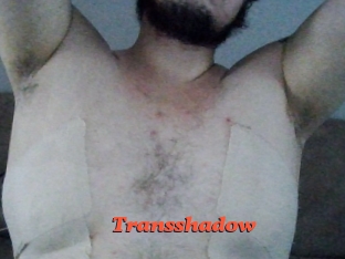 Transshadow