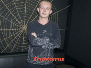 Trantcerus