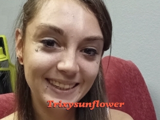 Trixysunflower