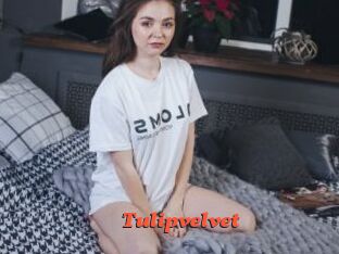 Tulipvelvet