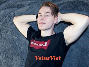 VeinsViet