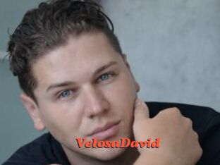 VelosaDavid
