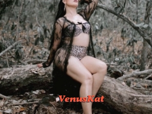 VenusKat