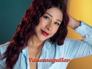 Vanesaaguilar