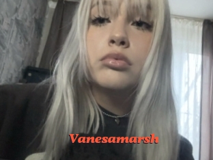 vanesamarsh Livespot