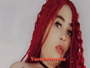 vanesamude Livespot