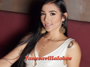 Vanesavillalobos