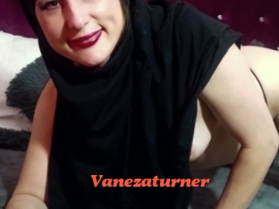 Vanezaturner